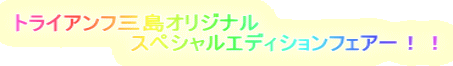 トライアンフ三島オリジナル　 　　　　　　　スペシャルエディションフェアー！！